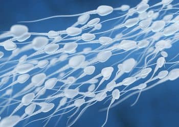 Sperma: Die einen spritzen mehr, die anderen weniger